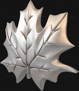 3D модель  панно кленовый лист (STL)