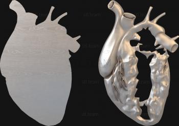 3D model Split heart (STL)