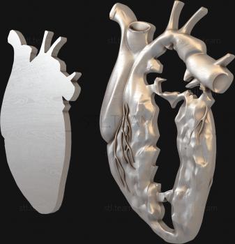 3D model Split heart (STL)