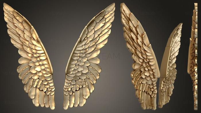 3D model The wings are large (STL)