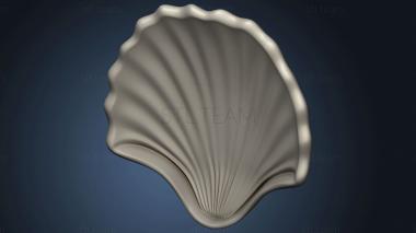 3D model Shell-shaped model (STL)