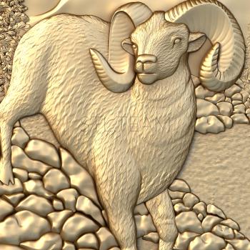 3D model The big-horned ram (STL)