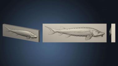 3D модель Панно рыбка Осетр (STL)