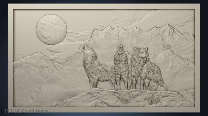 Panel wolves