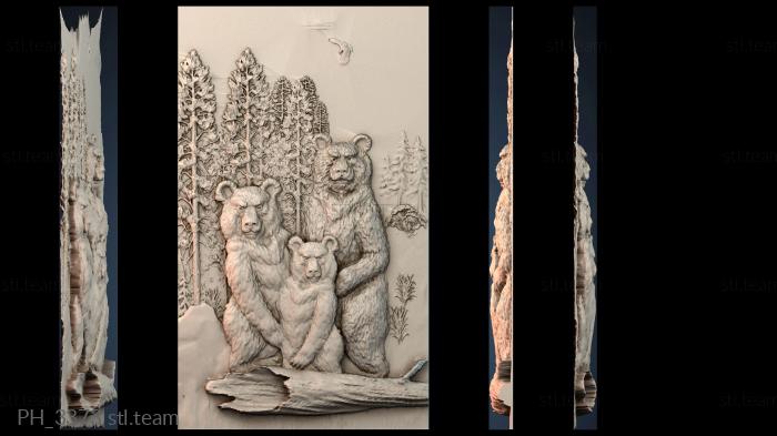 Панно художественные PH_3373