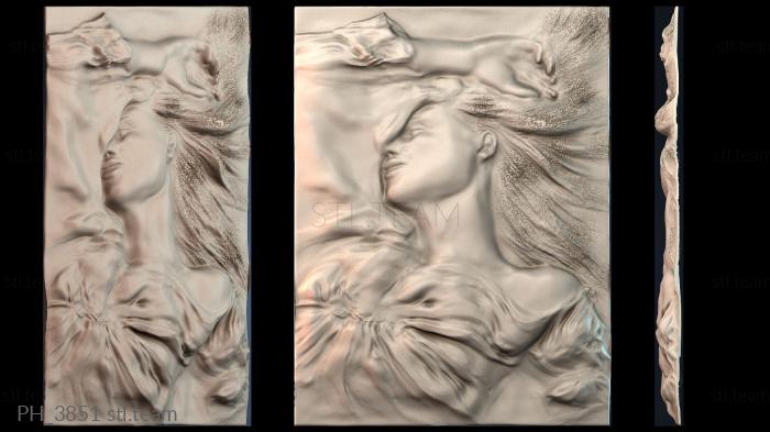 Панно художественные PH_3851