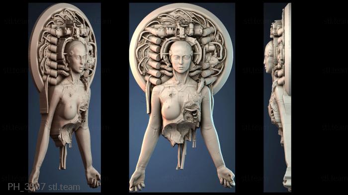 Панно художественные PH_3987