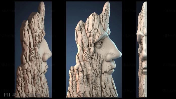 Панно художественные PH_4214