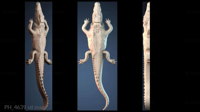 Панно художественные PH_4639