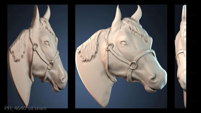 Панно художественные PH_4640