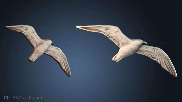 Панно художественные PH_4645