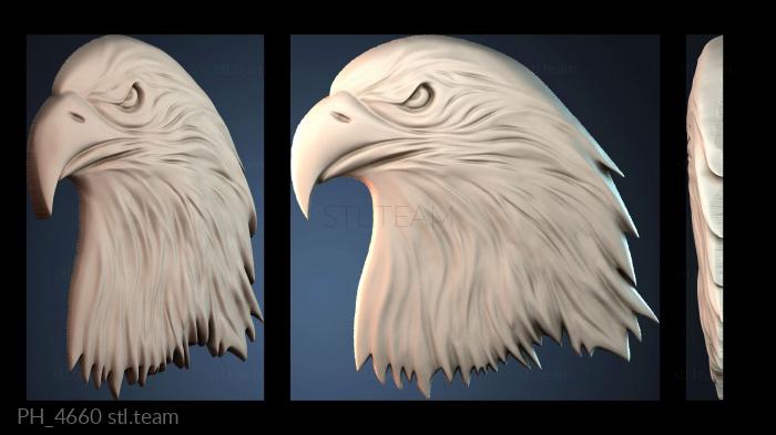 Панно художественные PH_4660