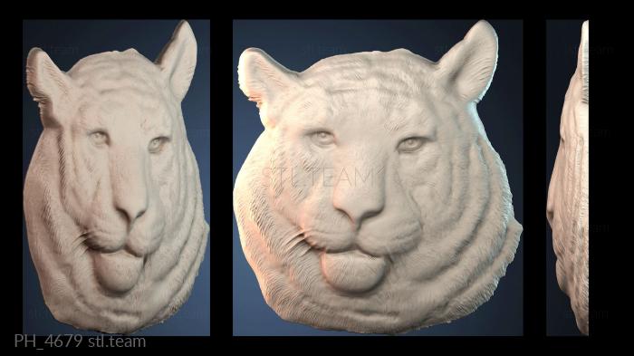 Панно художественные PH_4679