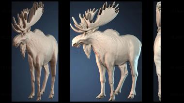 3D модель PANNO_HUDOZHNO_4690 (STL)