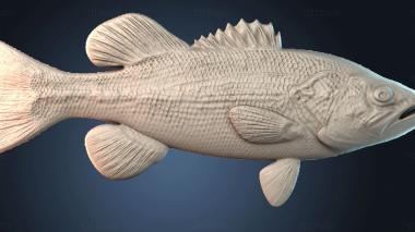 3D model PANNO_HUDOZHNO_4746 (STL)