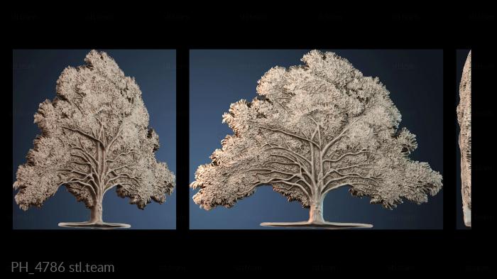 Панно художественные PH_4786