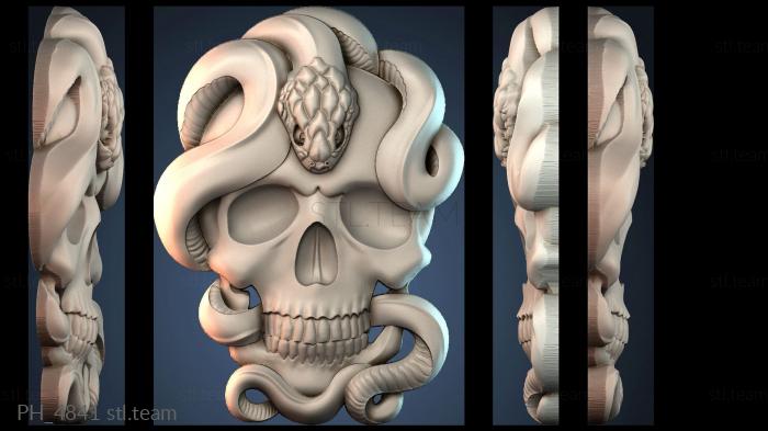 Панно художественные PH_4841