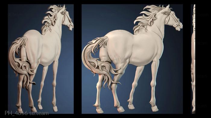 Панно художественные PH_4856