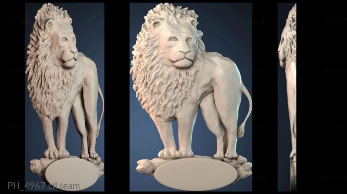 Панно художественные PH_4967