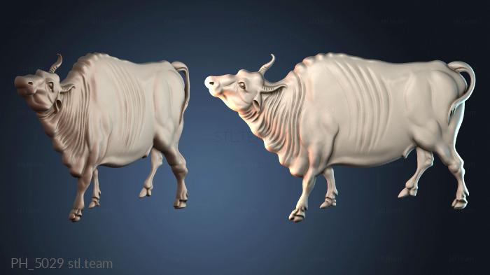 Панно художественные PH_5029