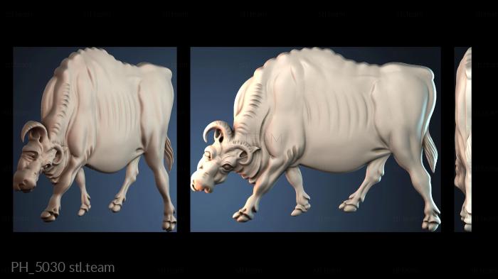 Панно художественные PH_5030