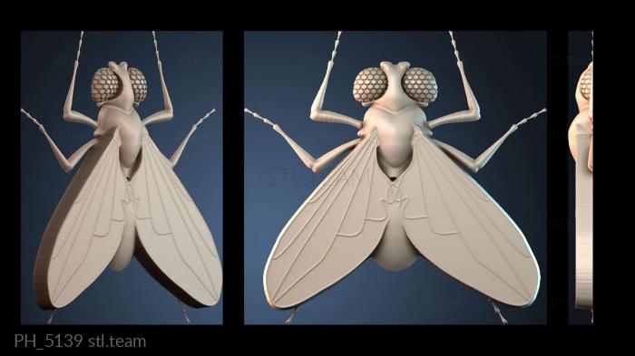 Панно художественные PH_5139