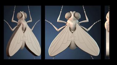 3D model PANNO_HUDOZHNO_5139 (STL)