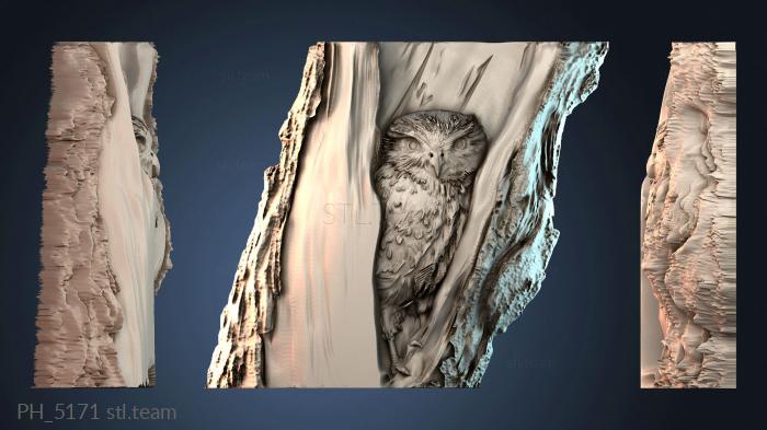 Панно художественные PH_5171