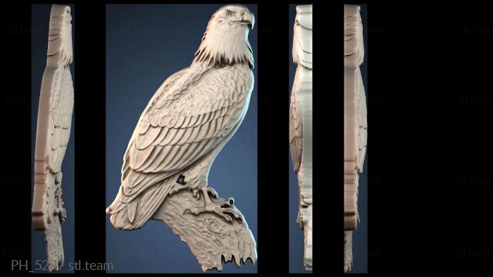 Панно художественные PH_5207