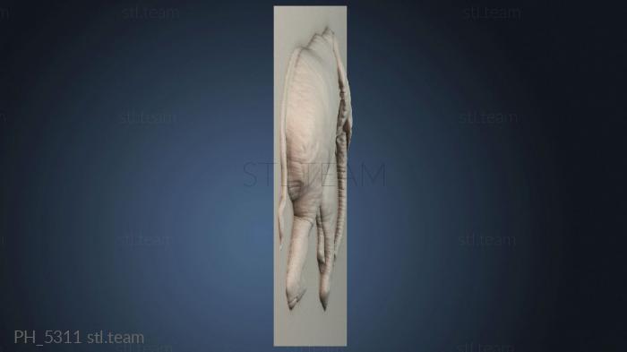 Панно художественные PH_5311