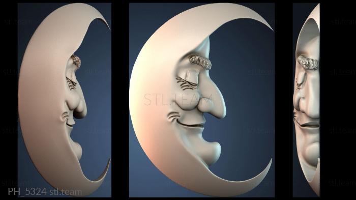 Панно художественные PH_5324