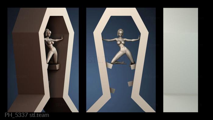 Панно художественные PH_5337