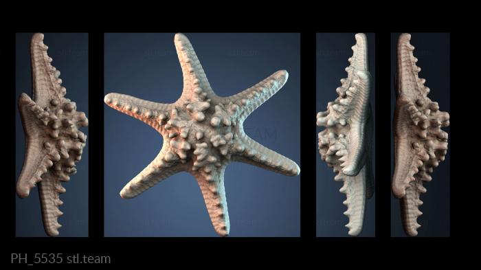 Панно художественные PH_5535