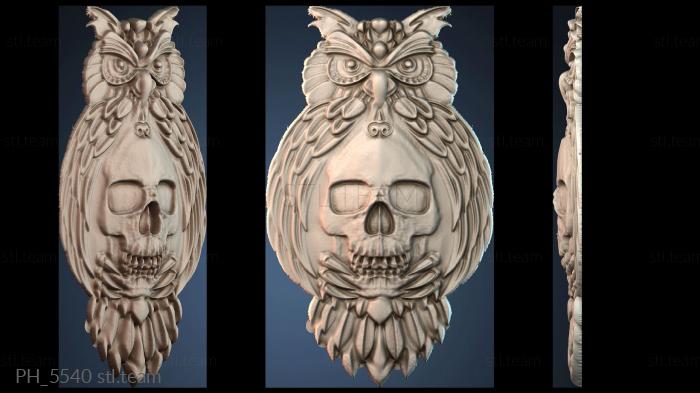 Панно художественные PH_5540