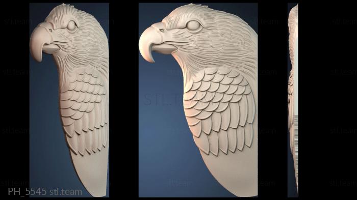 Панно художественные PH_5545