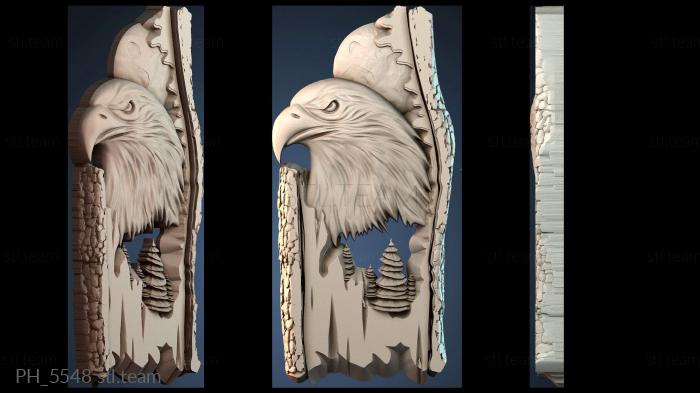 Панно художественные PH_5548