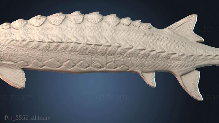 Панно художественные PH_5552