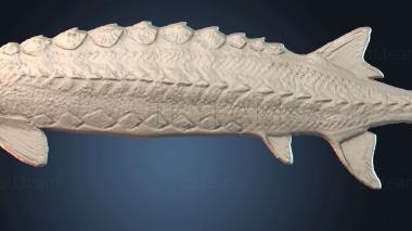 3D модель PANNO_HUDOZHNO_5552 (STL)