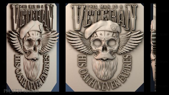 Панно художественные PH_5739