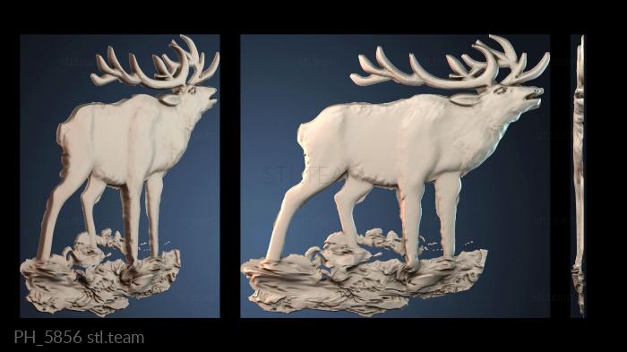 Панно художественные PH_5856