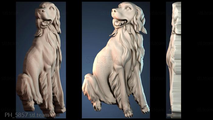 Панно художественные PH_5857