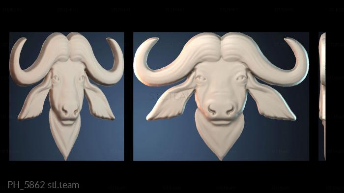 Панно художественные PH_5862