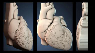 3D model PANNO_HUDOZHNO_6102 (STL)