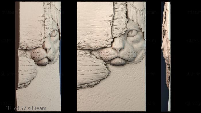 Панно художественные PH_6157