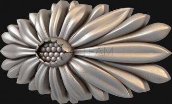 3D model Gerbera oval (STL)