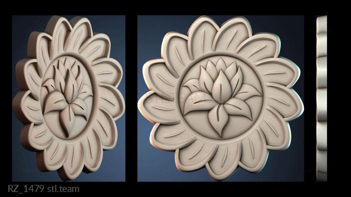 Розетки RZ_1479