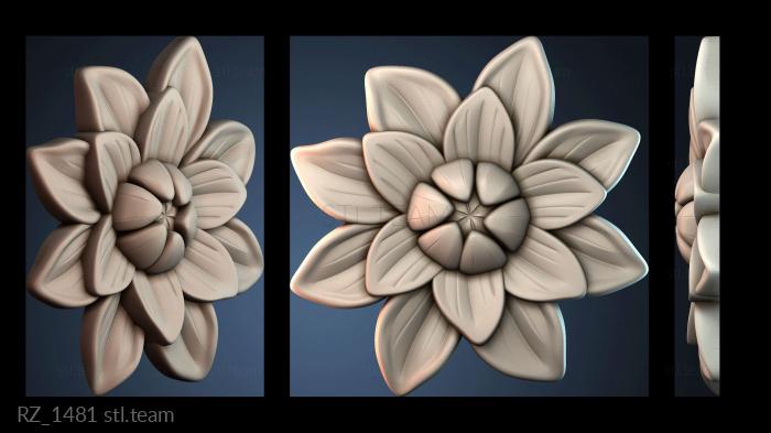 Розетки RZ_1481