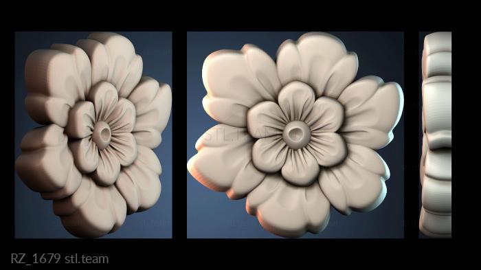 Розетки RZ_1679