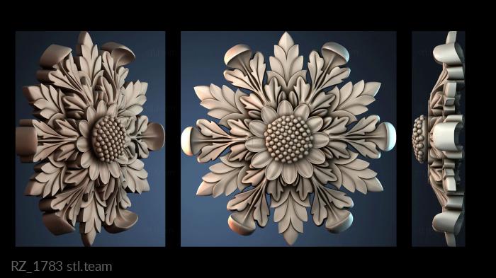 Розетки RZ_1783