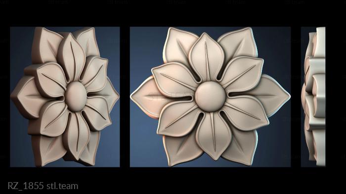 Розетки RZ_1855